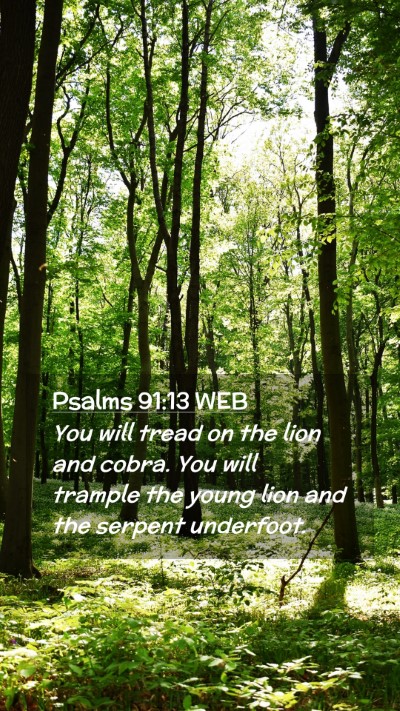 Picture 02 - Psalms 91:13 WEB Mobile Phone Wallpaper - You will tread on the lion and cobra. You will - Mobile Bible Verse Wallpaper