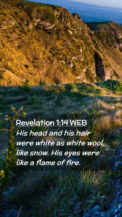 Picture 02 - Revelation 1:14 WEB Mobile Phone Wallpaper - His head and his hair were white as white wool, - Mobile Bible Verse Wallpaper