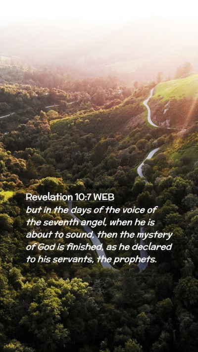 Picture 02 - Revelation 10:7 WEB Mobile Phone Wallpaper - but in the days of the voice of the seventh - Mobile Bible Verse Wallpaper