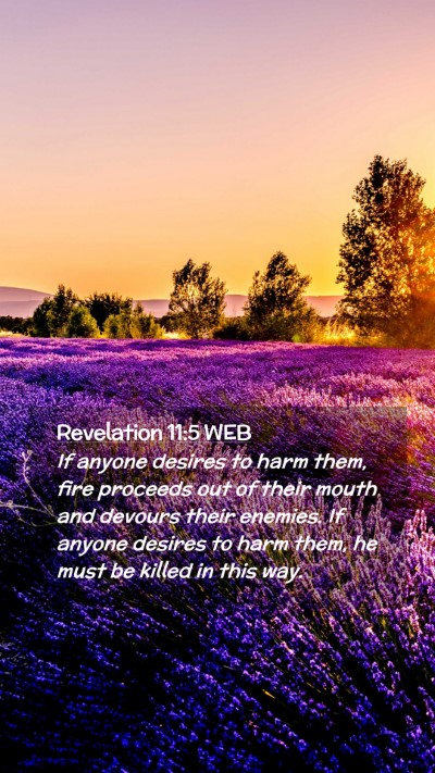 Picture 02 - Revelation 11:5 WEB Mobile Phone Wallpaper - If anyone desires to harm them, fire proceeds out - Mobile Bible Verse Wallpaper