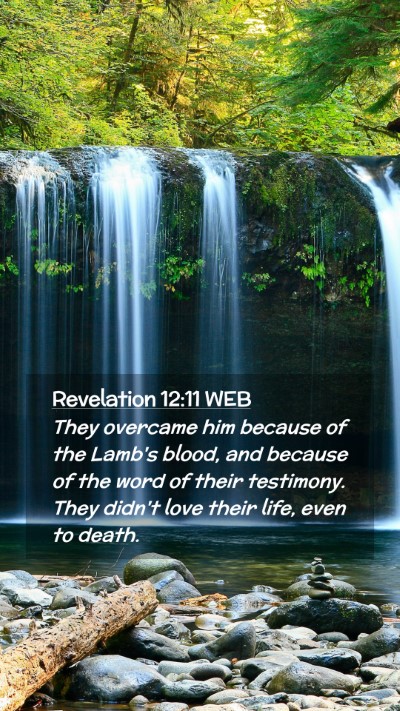 Picture 02 - Revelation 12:11 WEB Mobile Phone Wallpaper - They overcame him because of the Lamb's blood, - Mobile Bible Verse Wallpaper