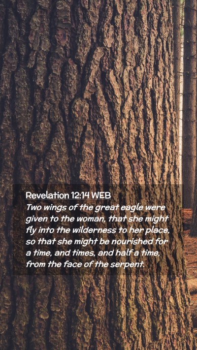Picture 02 - Revelation 12:14 WEB Mobile Phone Wallpaper - Two wings of the great eagle were given to the - Mobile Bible Verse Wallpaper
