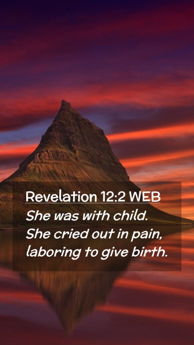 Picture 02 - Revelation 12:2 WEB Mobile Phone Wallpaper - She was with child. She cried out in pain, - Mobile Bible Verse Wallpaper