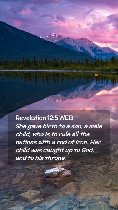 Picture 02 - Revelation 12:5 WEB Mobile Phone Wallpaper - She gave birth to a son, a male child, who is to - Mobile Bible Verse Wallpaper
