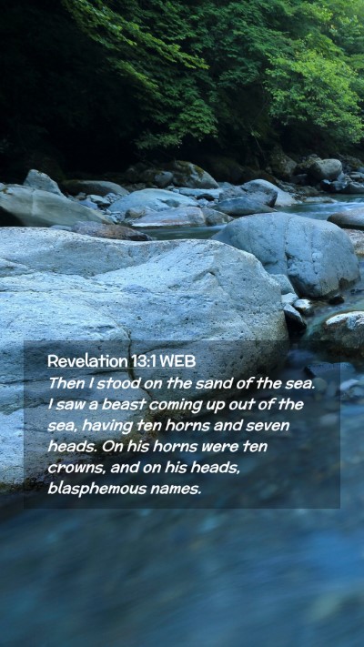 Picture 02 - Revelation 13:1 WEB Mobile Phone Wallpaper - Then I stood on the sand of the sea. I saw a - Mobile Bible Verse Wallpaper