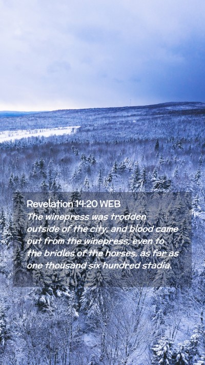 Picture 02 - Revelation 14:20 WEB Mobile Phone Wallpaper - The winepress was trodden outside of the city, - Mobile Bible Verse Wallpaper