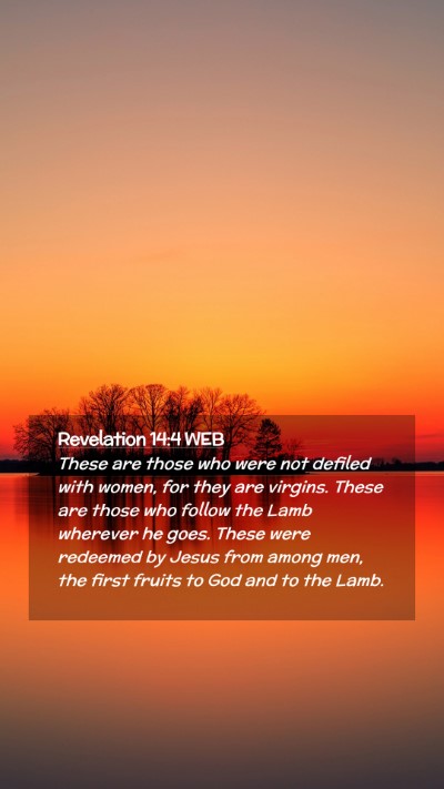 Picture 02 - Revelation 14:4 WEB Mobile Phone Wallpaper - These are those who were not defiled with women, - Mobile Bible Verse Wallpaper