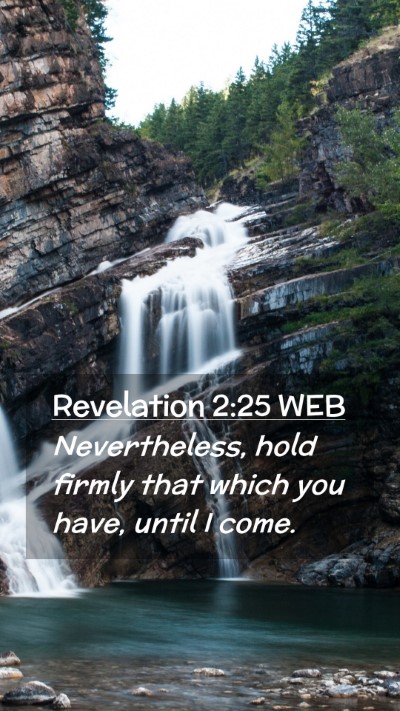 Picture 02 - Revelation 2:25 WEB Mobile Phone Wallpaper - Nevertheless, hold firmly that which you have, - Mobile Bible Verse Wallpaper
