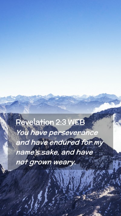 Picture 02 - Revelation 2:3 WEB Mobile Phone Wallpaper - You have perseverance and have endured for my - Mobile Bible Verse Wallpaper