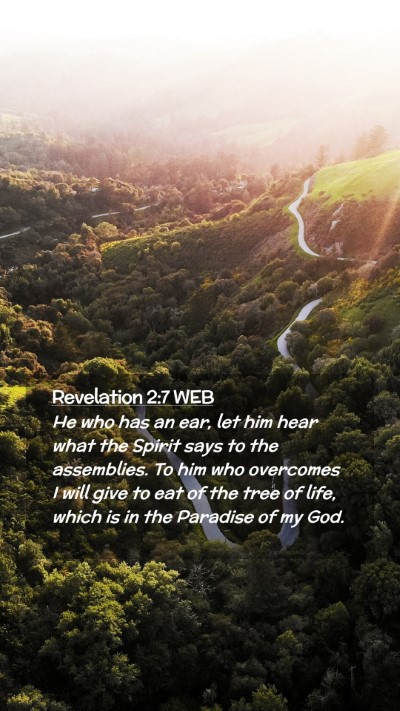 Picture 02 - Revelation 2:7 WEB Mobile Phone Wallpaper - He who has an ear, let him hear what the Spirit - Mobile Bible Verse Wallpaper