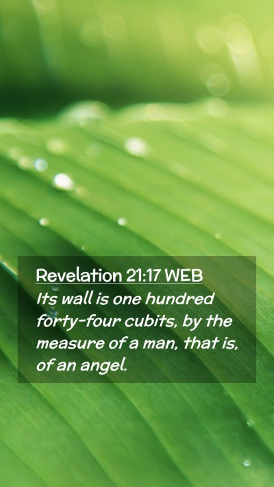 Picture 02 - Revelation 21:17 WEB Mobile Phone Wallpaper - Its wall is one hundred forty-four cubits, by the - Mobile Bible Verse Wallpaper