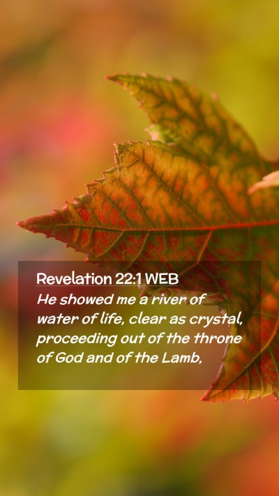 Picture 02 - Revelation 22:1 WEB Mobile Phone Wallpaper - He showed me a river of water of life, clear as - Mobile Bible Verse Wallpaper
