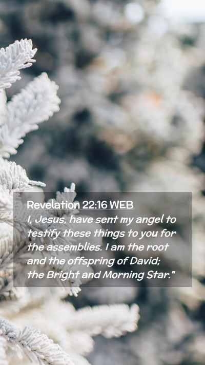 Picture 02 - Revelation 22:16 WEB Mobile Phone Wallpaper - I, Jesus, have sent my angel to testify these - Mobile Bible Verse Wallpaper