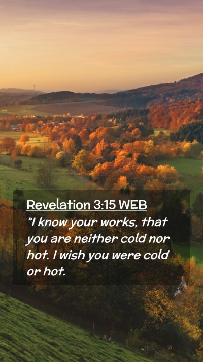 Picture 02 - Revelation 3:15 WEB Mobile Phone Wallpaper - 