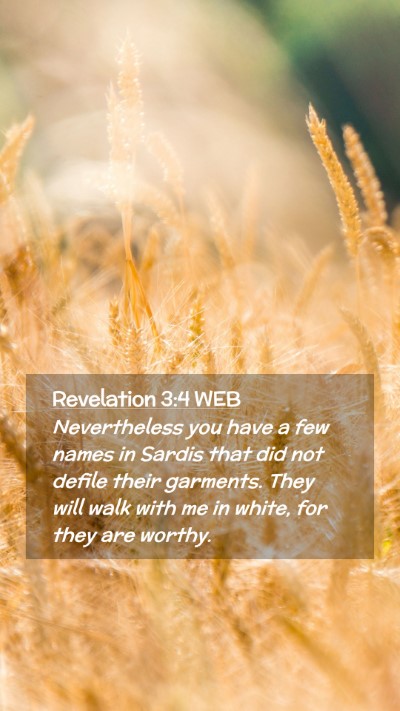 Picture 02 - Revelation 3:4 WEB Mobile Phone Wallpaper - Nevertheless you have a few names in Sardis that - Mobile Bible Verse Wallpaper