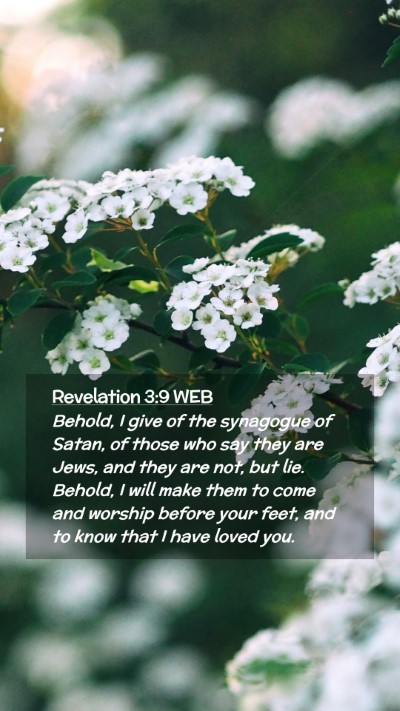 Picture 02 - Revelation 3:9 WEB Mobile Phone Wallpaper - Behold, I give of the synagogue of Satan, of - Mobile Bible Verse Wallpaper