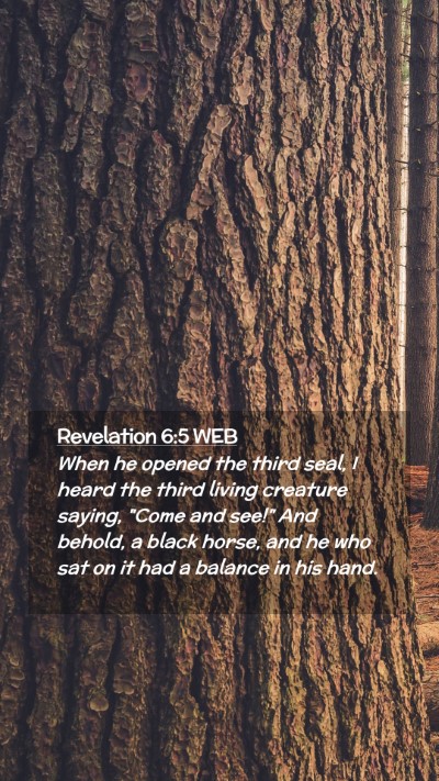 Picture 02 - Revelation 6:5 WEB Mobile Phone Wallpaper - When he opened the third seal, I heard the third - Mobile Bible Verse Wallpaper