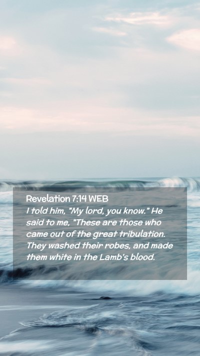 Picture 02 - Revelation 7:14 WEB Mobile Phone Wallpaper - I told him, 