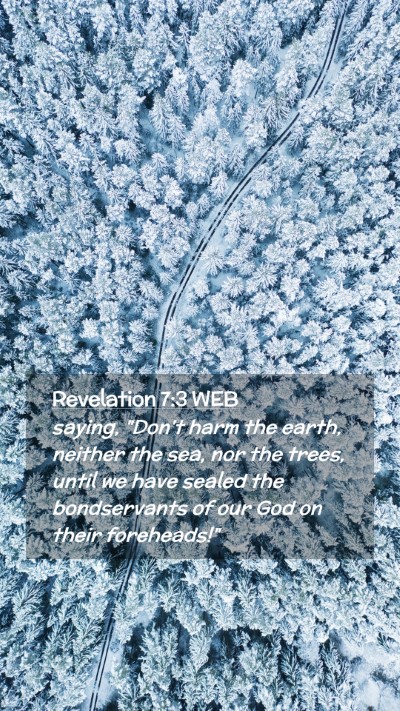 Picture 02 - Revelation 7:3 WEB Mobile Phone Wallpaper - saying, 