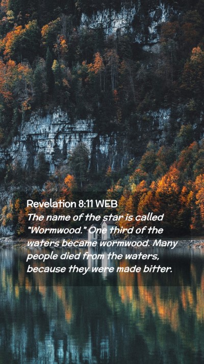 Picture 02 - Revelation 8:11 WEB Mobile Phone Wallpaper - The name of the star is called 