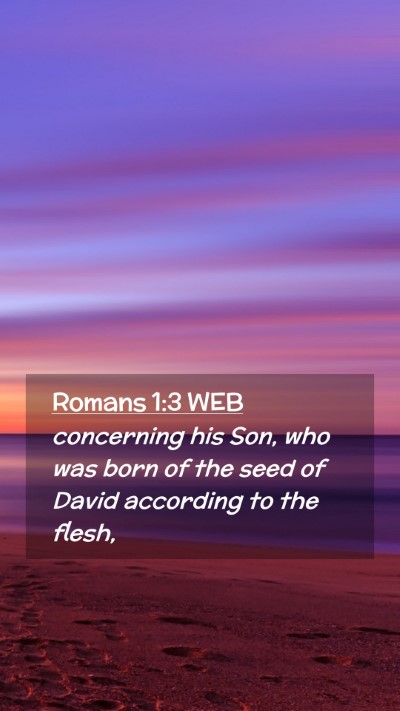 Picture 02 - Romans 1:3 WEB Mobile Phone Wallpaper - concerning his Son, who was born of the seed of - Mobile Bible Verse Wallpaper