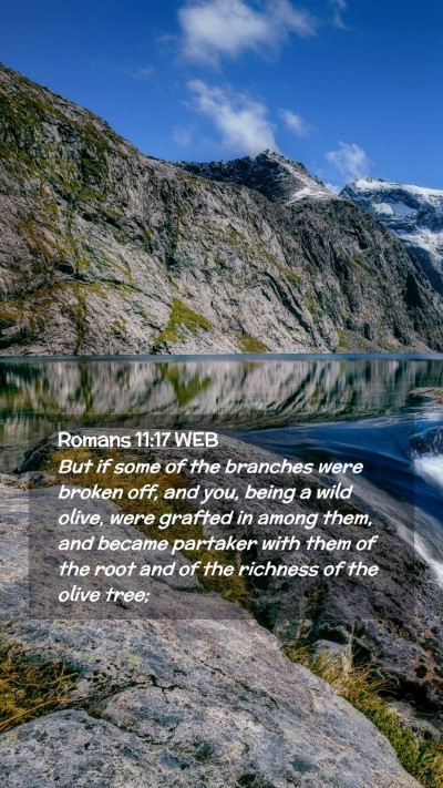 Picture 02 - Romans 11:17 WEB Mobile Phone Wallpaper - But if some of the branches were broken off, and - Mobile Bible Verse Wallpaper