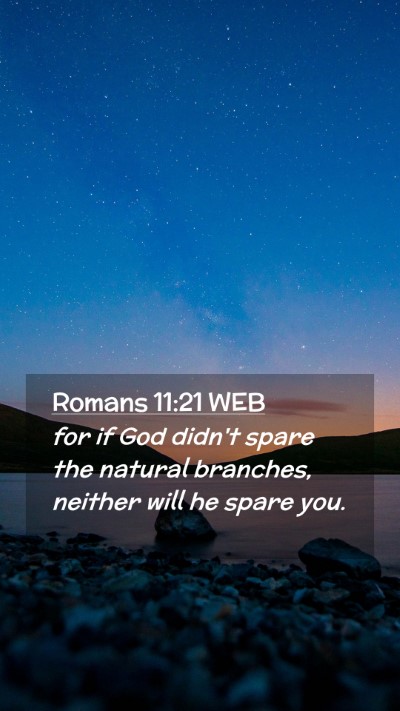 Picture 02 - Romans 11:21 WEB Mobile Phone Wallpaper - for if God didn't spare the natural branches, - Mobile Bible Verse Wallpaper