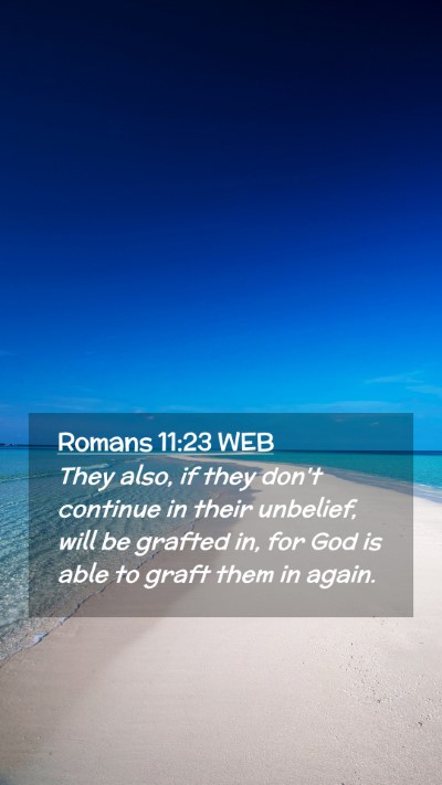 Picture 02 - Romans 11:23 WEB Mobile Phone Wallpaper - They also, if they don't continue in their - Mobile Bible Verse Wallpaper