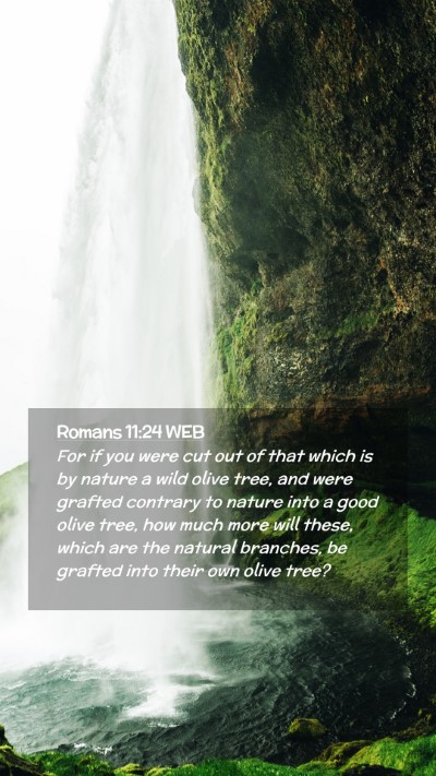 Picture 02 - Romans 11:24 WEB Mobile Phone Wallpaper - For if you were cut out of that which is by - Mobile Bible Verse Wallpaper