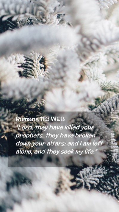 Picture 02 - Romans 11:3 WEB Mobile Phone Wallpaper - 