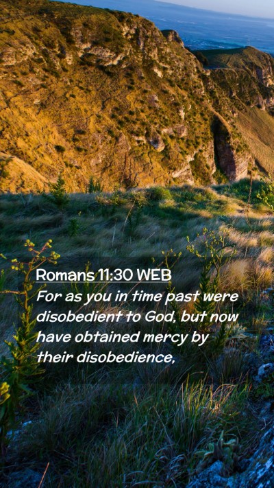 Picture 02 - Romans 11:30 WEB Mobile Phone Wallpaper - For as you in time past were disobedient to God, - Mobile Bible Verse Wallpaper