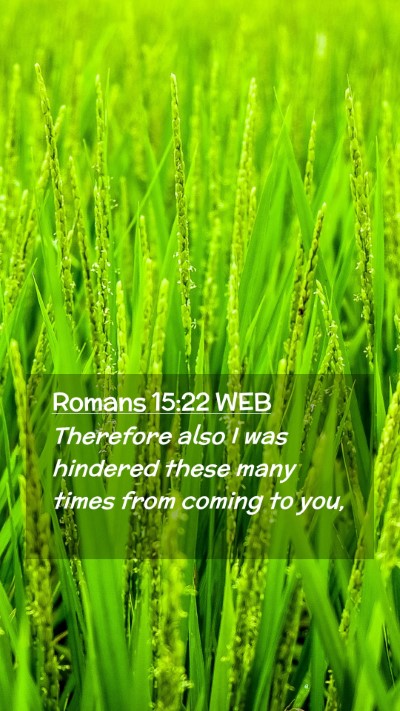 Picture 02 - Romans 15:22 WEB Mobile Phone Wallpaper - Therefore also I was hindered these many times - Mobile Bible Verse Wallpaper