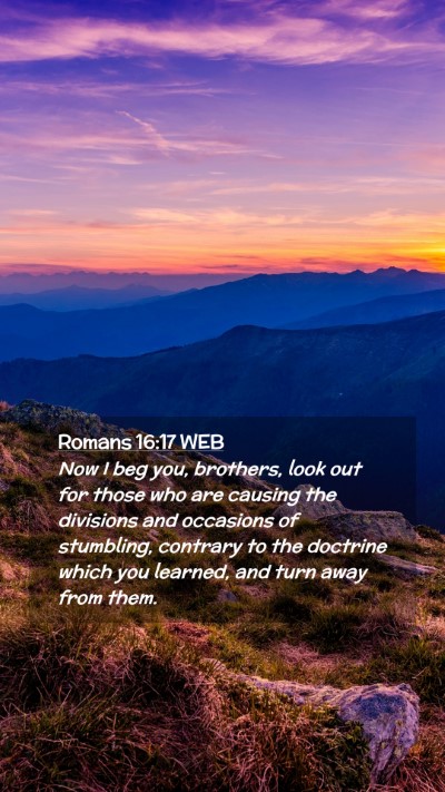Picture 02 - Romans 16:17 WEB Mobile Phone Wallpaper - Now I beg you, brothers, look out for those who - Mobile Bible Verse Wallpaper