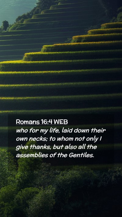 Picture 02 - Romans 16:4 WEB Mobile Phone Wallpaper - who for my life, laid down their own necks; to - Mobile Bible Verse Wallpaper