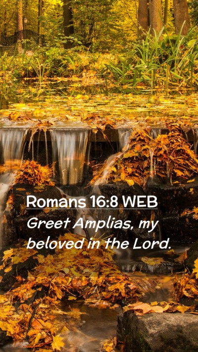 Picture 02 - Romans 16:8 WEB Mobile Phone Wallpaper - Greet Amplias, my beloved in the - Mobile Bible Verse Wallpaper