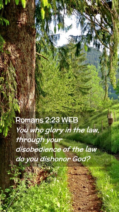 Picture 02 - Romans 2:23 WEB Mobile Phone Wallpaper - You who glory in the law, through your - Mobile Bible Verse Wallpaper