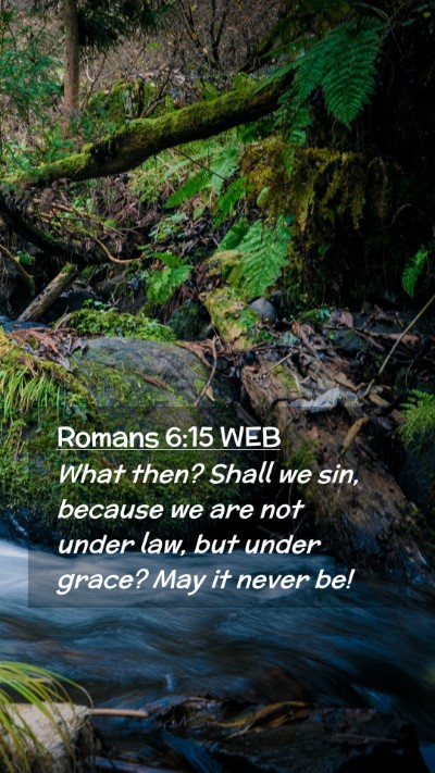 Picture 02 - Romans 6:15 WEB Mobile Phone Wallpaper - What then? Shall we sin, because we are not under - Mobile Bible Verse Wallpaper