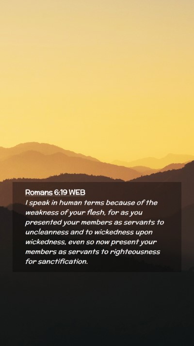 Picture 02 - Romans 6:19 WEB Mobile Phone Wallpaper - I speak in human terms because of the weakness of - Mobile Bible Verse Wallpaper