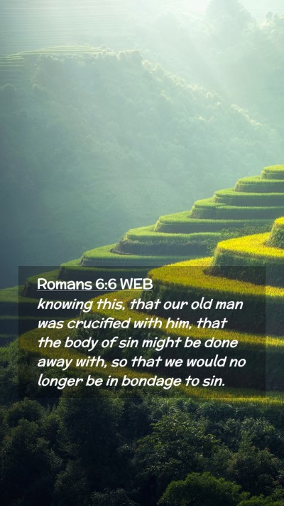 Picture 02 - Romans 6:6 WEB Mobile Phone Wallpaper - knowing this, that our old man was crucified with - Mobile Bible Verse Wallpaper