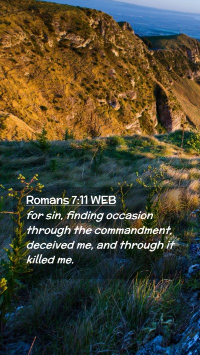 Picture 02 - Romans 7:11 WEB Mobile Phone Wallpaper - for sin, finding occasion through the - Mobile Bible Verse Wallpaper