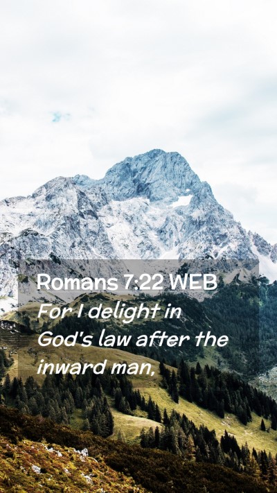 Picture 02 - Romans 7:22 WEB Mobile Phone Wallpaper - For I delight in God's law after the inward - Mobile Bible Verse Wallpaper
