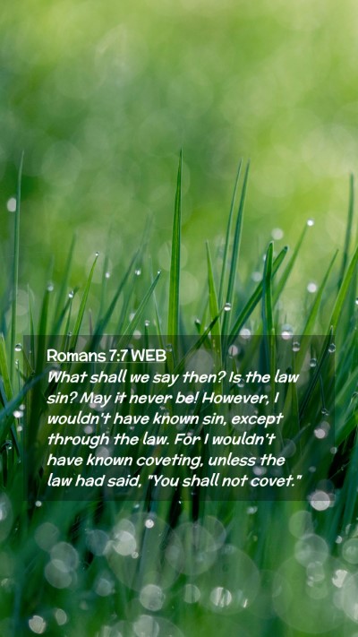 Picture 02 - Romans 7:7 WEB Mobile Phone Wallpaper - What shall we say then? Is the law sin? May it - Mobile Bible Verse Wallpaper