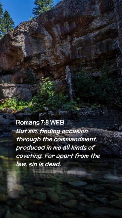 Picture 02 - Romans 7:8 WEB Mobile Phone Wallpaper - But sin, finding occasion through the - Mobile Bible Verse Wallpaper
