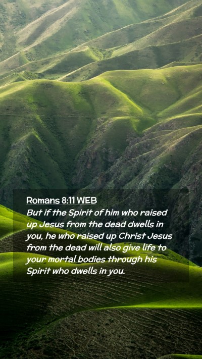 Picture 02 - Romans 8:11 WEB Mobile Phone Wallpaper - But if the Spirit of him who raised up Jesus from - Mobile Bible Verse Wallpaper
