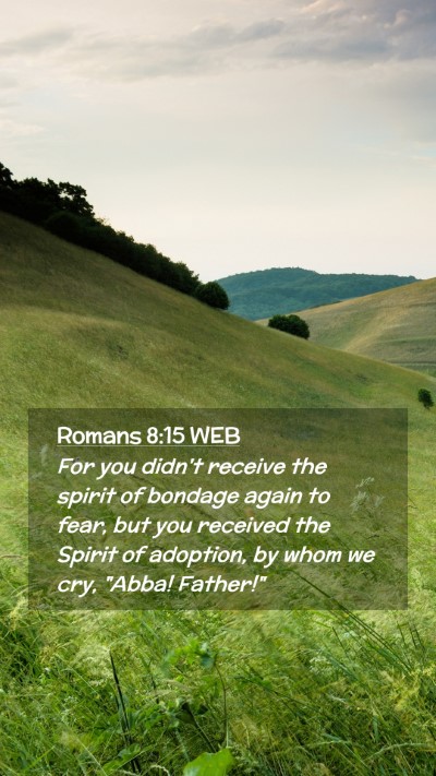 Picture 02 - Romans 8:15 WEB Mobile Phone Wallpaper - For you didn't receive the spirit of bondage - Mobile Bible Verse Wallpaper