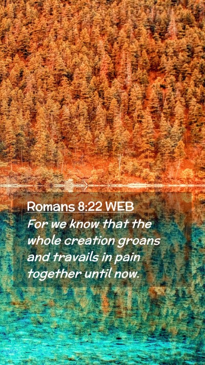 Picture 02 - Romans 8:22 WEB Mobile Phone Wallpaper - For we know that the whole creation groans and - Mobile Bible Verse Wallpaper