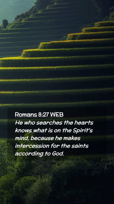 Picture 02 - Romans 8:27 WEB Mobile Phone Wallpaper - He who searches the hearts knows what is on the - Mobile Bible Verse Wallpaper