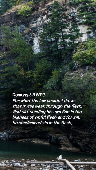 Picture 02 - Romans 8:3 WEB Mobile Phone Wallpaper - For what the law couldn't do, in that it was weak - Mobile Bible Verse Wallpaper