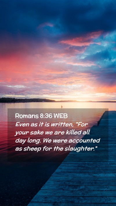 Picture 02 - Romans 8:36 WEB Mobile Phone Wallpaper - Even as it is written, 