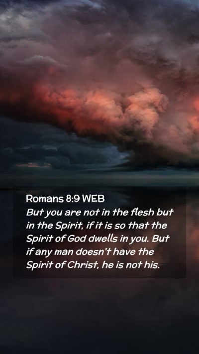 Picture 02 - Romans 8:9 WEB Mobile Phone Wallpaper - But you are not in the flesh but in the Spirit, - Mobile Bible Verse Wallpaper